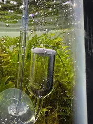 Imagen de reseña 3