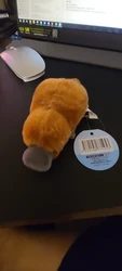 Review image 2