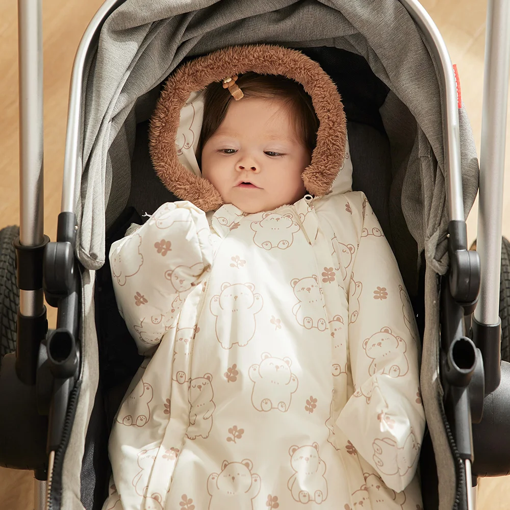 Oso dibujos - Diseño adorable