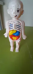 Review image 4