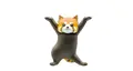 red panda