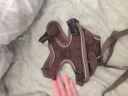 Review image 2