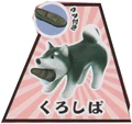 Kuroshiba