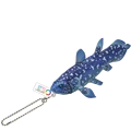 coelacanth
