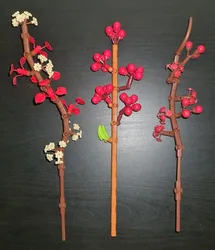 Review image 1