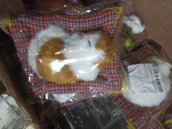 Review image 1