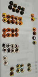 Review image 2