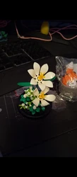 Imagen de reseña 1