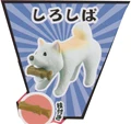 Shiroshiba