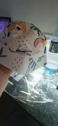 Imagen de reseña 3