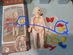 Review image 2
