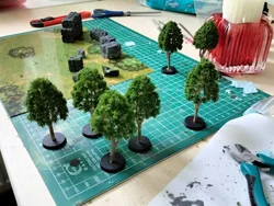 Review image 1
