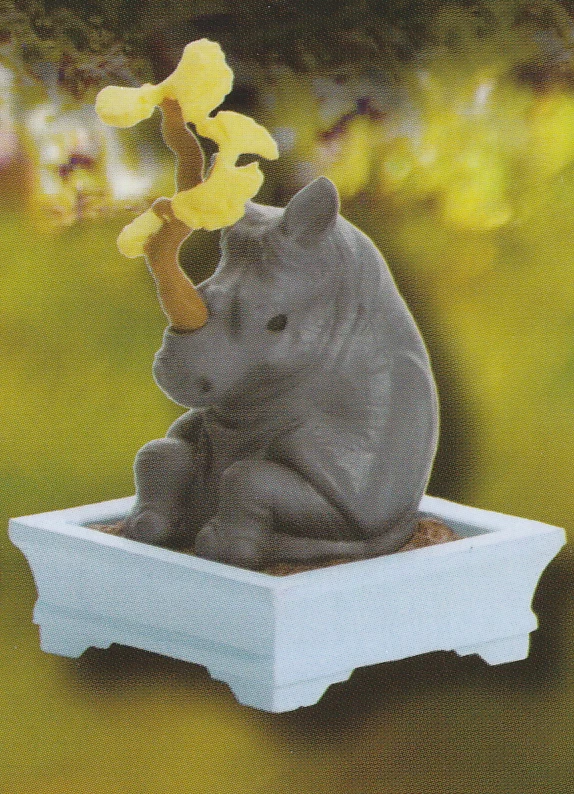 Ginkgo