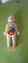 Review image 3