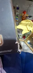 Review image 3