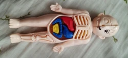 Review image 3