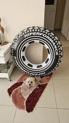 Imagen de reseña 1