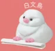 white Buncho