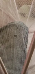 Review image 2