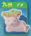Kyushu pig