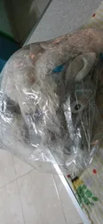 Imagen de reseña 3