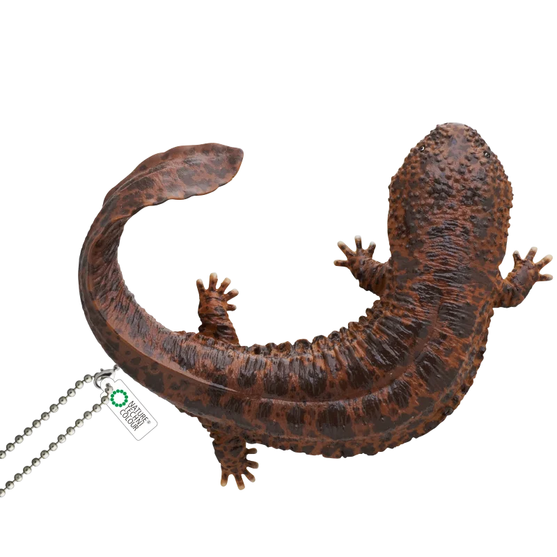 salamander keychain