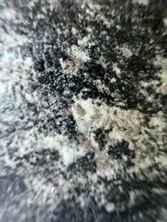 Imagen de reseña 5