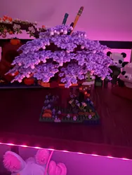 Review image 1