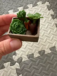 Review image 2