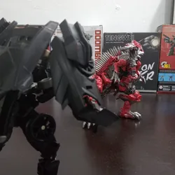 Review image 5