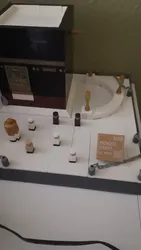 Review image 1
