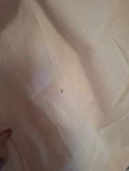 Review image 3