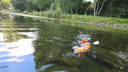 Imagen de reseña 5
