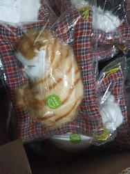 Review image 4