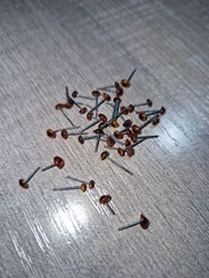 Review image 2