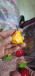 Imagen de reseña 2
