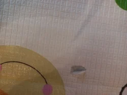 Review image 5