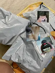Review image 4