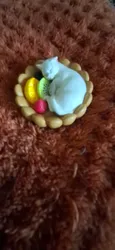 Review image 1