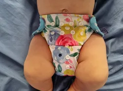 Review image 1
