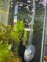 Imagen de reseña 4