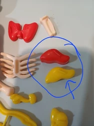 Review image 3