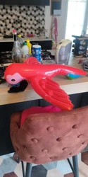 Imagen de reseña 1