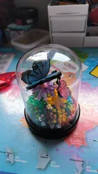 Imagen de reseña 3