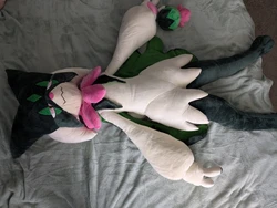 Imagen de reseña 1