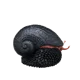 black scales