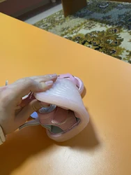 Imagen de reseña 4