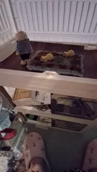 Imagen de reseña 1