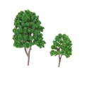 Green B