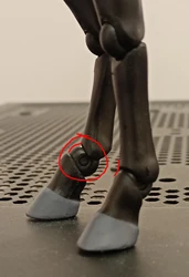 Imagen de reseña 5